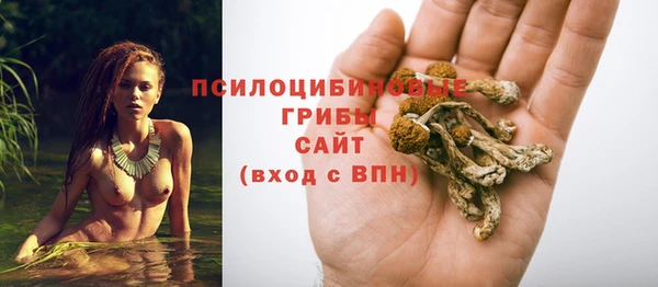 герыч Сосновоборск