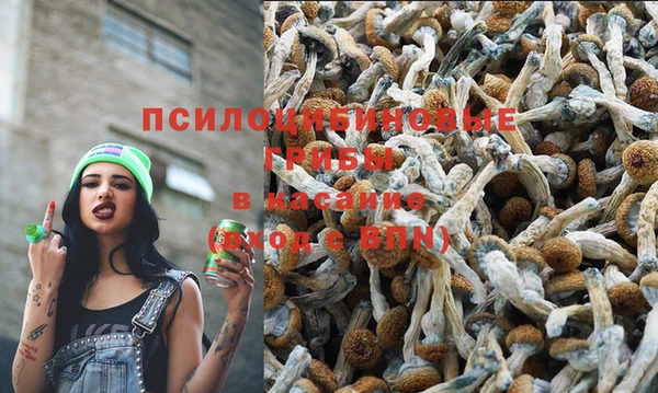 синтетический гашиш Алексеевка