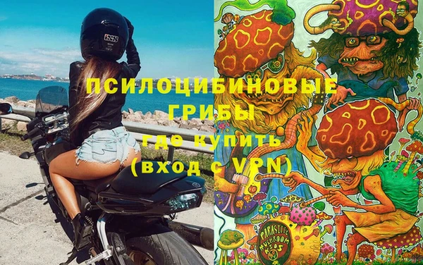 герыч Алзамай