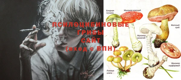 MESCALINE Сосновый Бор