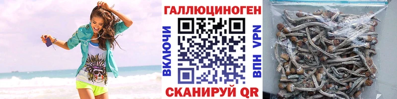 Псилоцибиновые грибы Psilocybine cubensis  купить  цена  Дудинка 